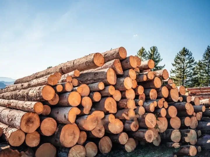 Stammholz Nadelholz – LKW-Ladung flexibel