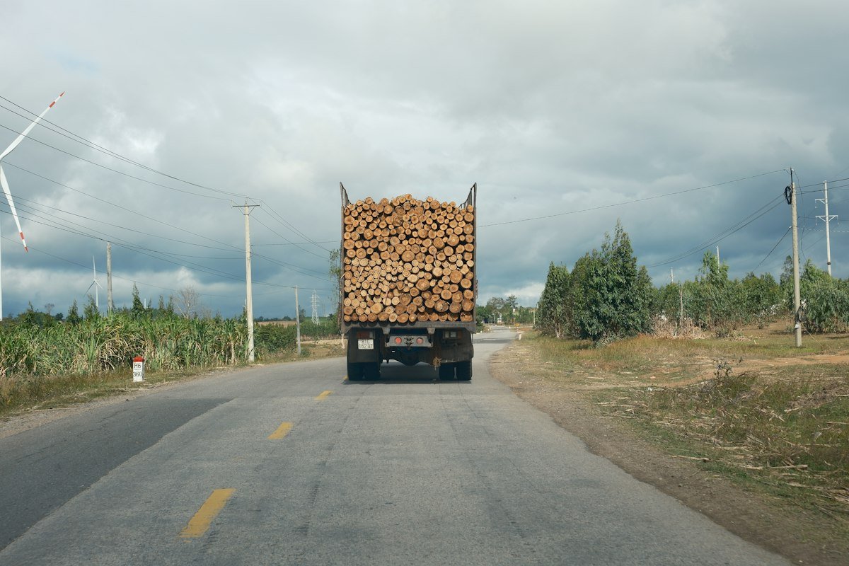 Camion chargé de bois circulant sur une route de campagne