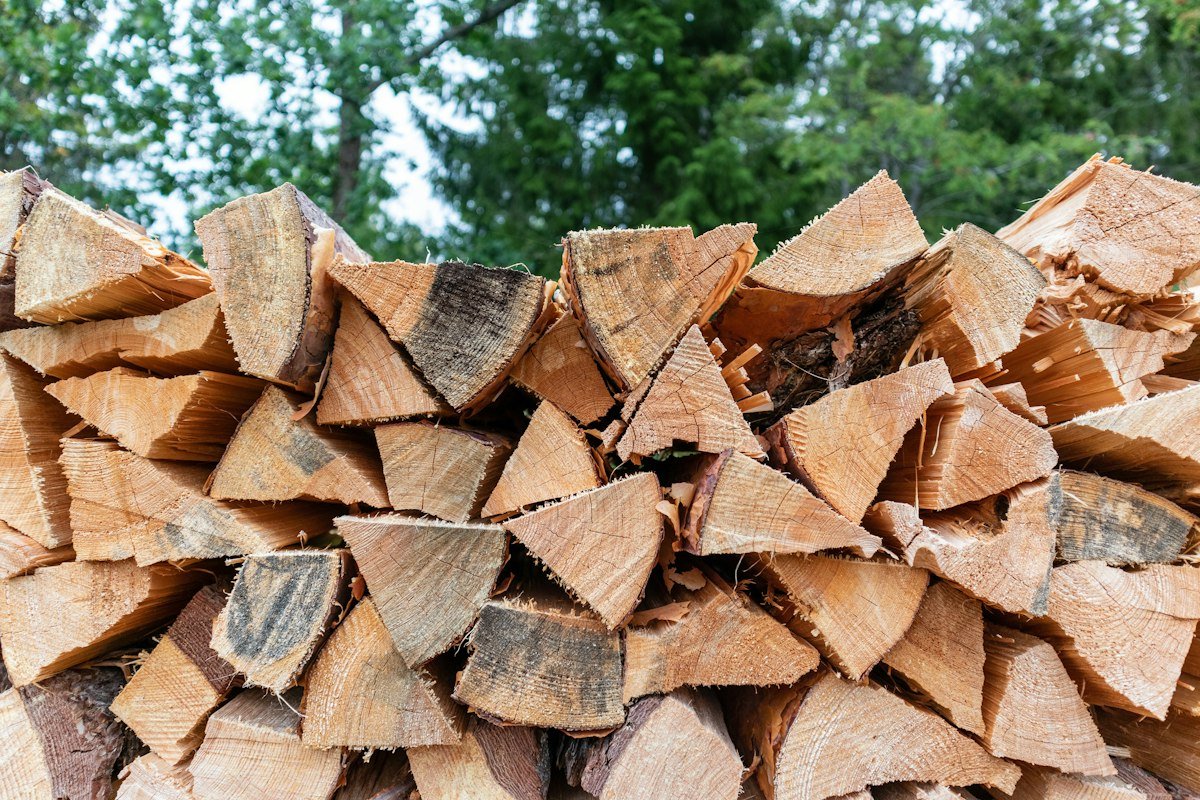 Bûches fendues empilées à l'extérieur pour sécher, arbres en arrière-plan